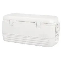 Ψυγείο IGLOO POLAR 120 41637