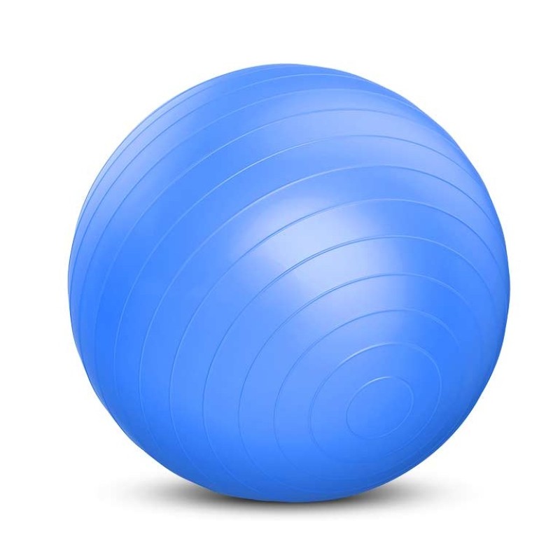 Power Force Μπάλα γυμναστικής GYM BALL Antibrust 65cm WS-6009