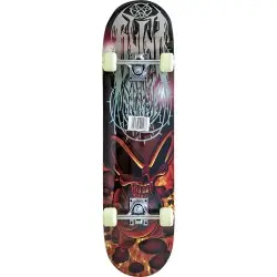Amila Skate Basic 48937