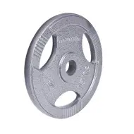 InSportline Hamerton Ολυμπιακός Δίσκος μαντέμι 15kg 12705
