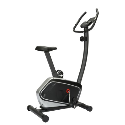 Viking Ποδήλατο Fancy