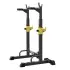 Viking SR-22 Stand and Dip Station