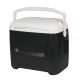 Ψυγείο IGLOO ISLAND BREEZE 26,7L 41607