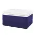 Igloo Ψυγείο 4,75L Legend 6 - 41206