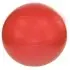 Viking Gym Ball 75cm Μπάλα Γυμναστικής - Κεραμιδί (122)