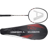 Amila Ρακέτα Badminton 42069