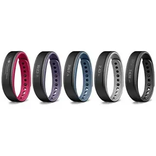 Garmin Fitness Band VivoSmart ®  Small GA-010-01317-03