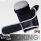 MMA Gloves Olympus MAX SPAR Training