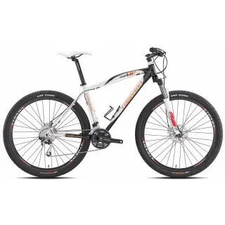 Torpado Light Race 29 T579