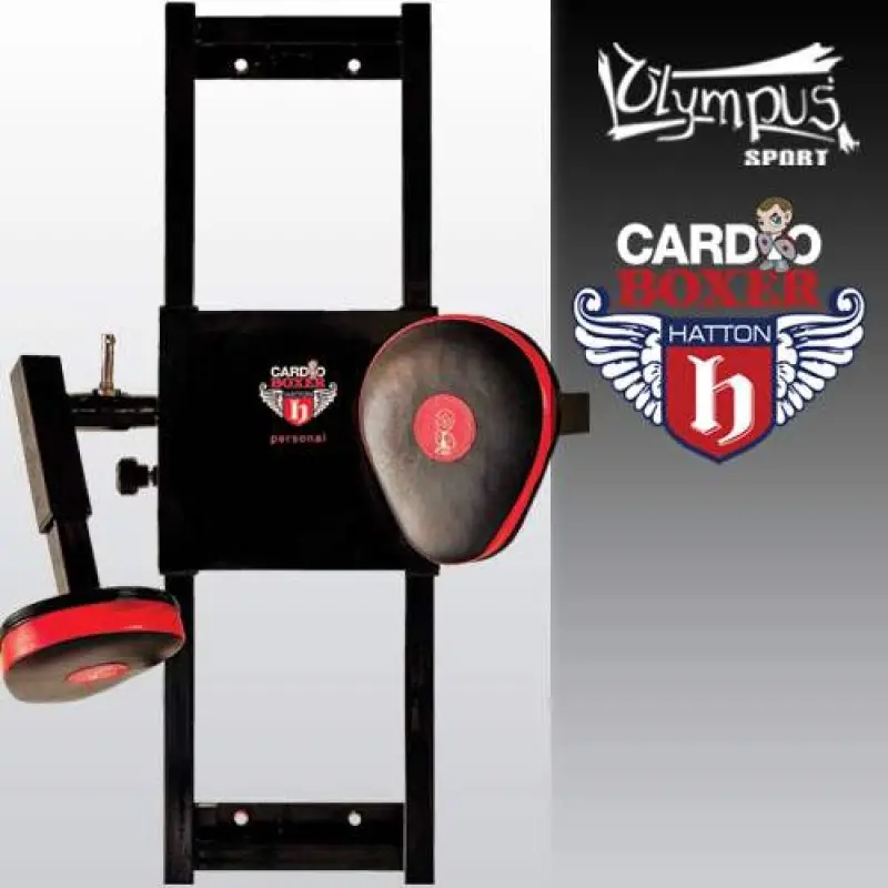 Cardio Boxing 2 Focus Pads 4080215