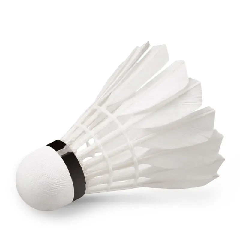 Μπαλάκια Badminton Feather Shuttlecock W-09 12 τμχ. Badminton 42078 Wish Μπαλάκια Badminton Feather Shuttlecock W-09 12 τμχ.