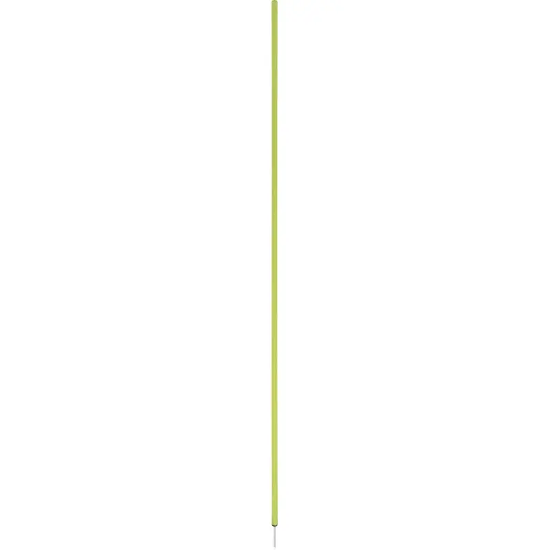 Amila Κοντάρι για Σλάλομ 160cm 41909