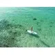 Aztron Callisto Σανίδα SUP 10.6 – 323cm AH-450 Σε 12 Άτοκες Δόσεις