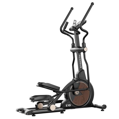 Pegasus Ελλειπτικό Ε10