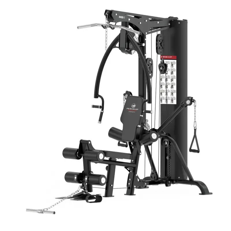 Pegasus Ημιεπαγγελματικό Πολυόργανο με βάρη HG8 - Σε 24 Άτοκες Δόσεις