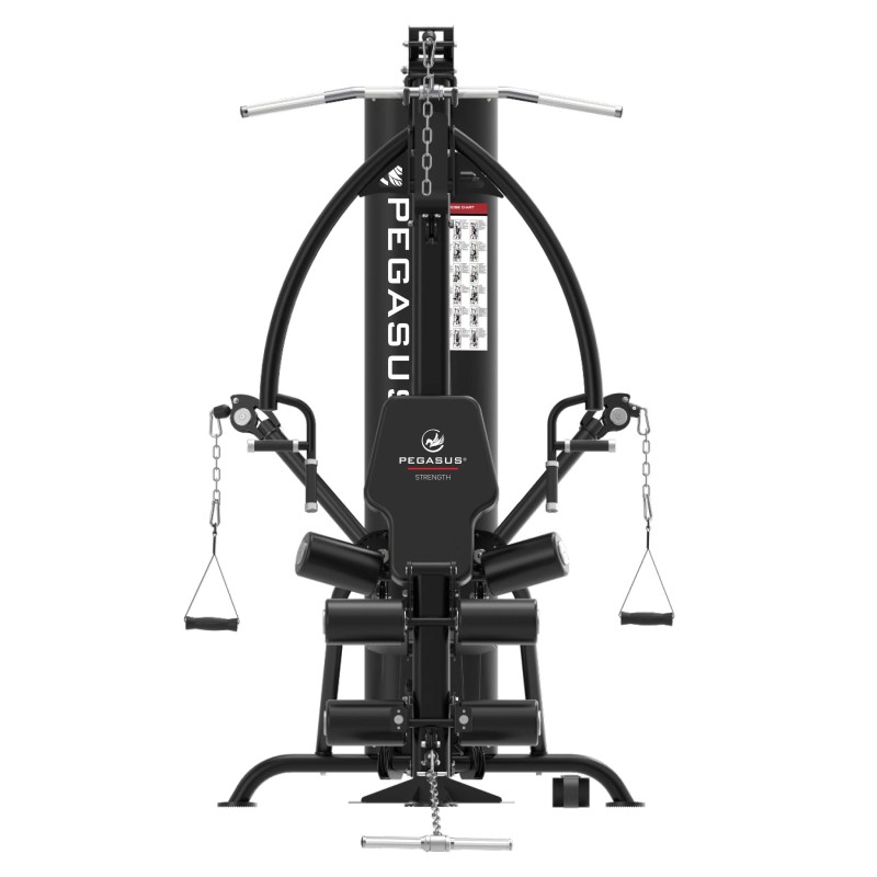 Pegasus Ημιεπαγγελματικό Πολυόργανο με βάρη HG8 - Σε 24 Άτοκες Δόσεις