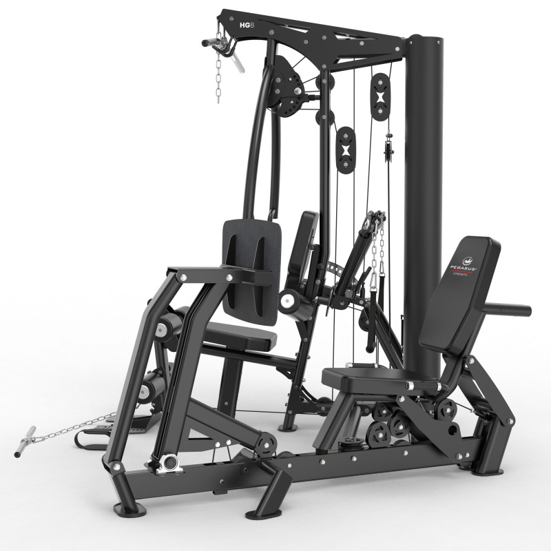 Pegasus Ημιεπαγγελματικό Πολυόργανο με βάρη HG8 - Σε 24 Άτοκες Δόσεις