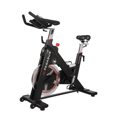 Pegasus Ημιεπαγγελματικό Spin Bike PG5 - Σε 12 Άτοκες Δόσεις