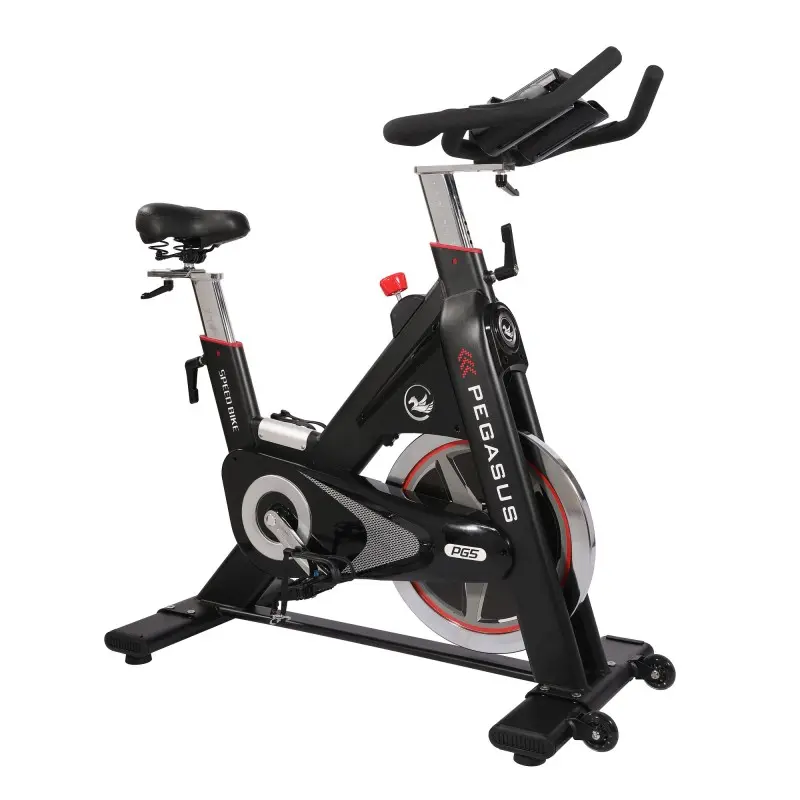 Pegasus Ημιεπαγγελματικό Spin Bike PG5 - Σε 12 Άτοκες Δόσεις