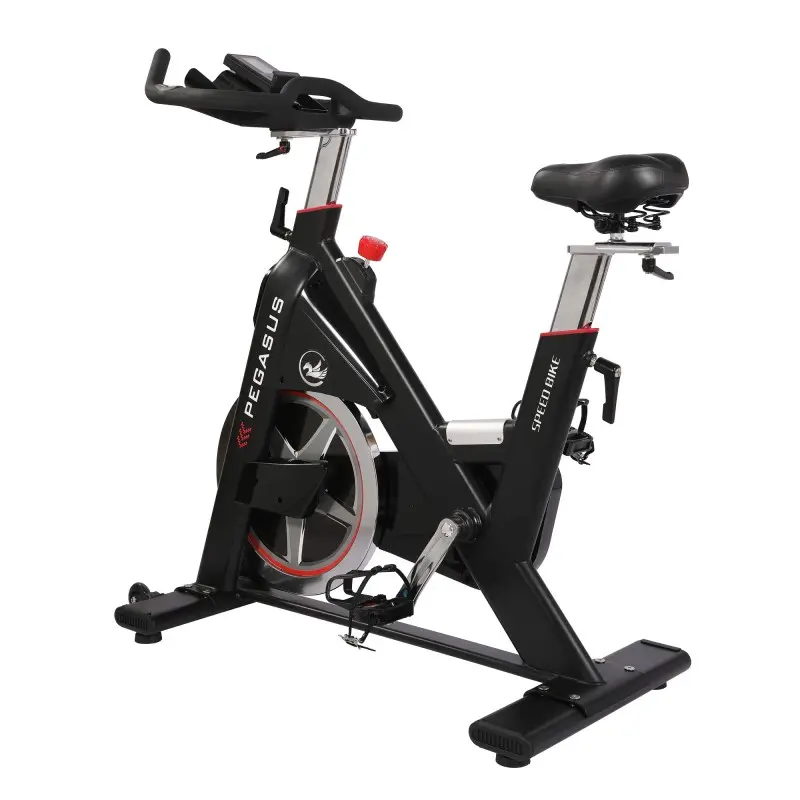 Pegasus Ημιεπαγγελματικό Spin Bike PG5 - Σε 12 Άτοκες Δόσεις