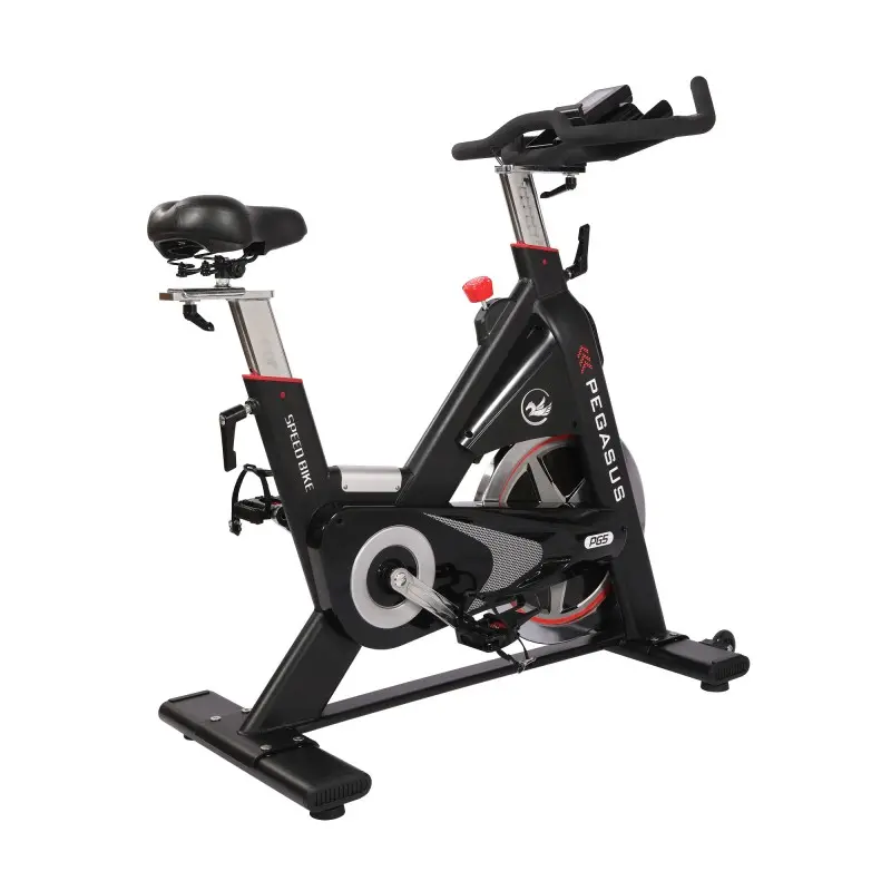 Pegasus Ημιεπαγγελματικό Spin Bike PG5 - Σε 12 Άτοκες Δόσεις