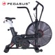 Pegasus Επαγγελματικό Air Bike AB2 - Σε 24 Άτοκες Δόσεις