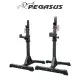 Pegasus OK0043B Ρυθμιζόμενοι Ορθοστάτες