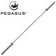 Pegasus Ολυμπιακή μπάρα 200cm 390318135 Pegasus Ολυμπιακή μπάρα 200cm 390318135