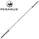 Pegasus Ολυμπιακή μπάρα 200cm 390318135