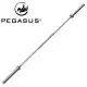 Pegasus Ολυμπιακή μπάρα 200cm 42CRMO 25mm 390318132