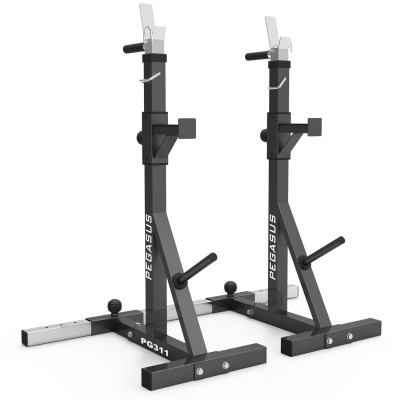 Pegasus PG‑311 Ρυθμιζόμενοι Ορθοστάτες