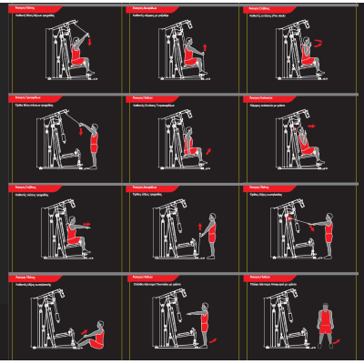 Pegasus Πολυόργανο MS‑600 - Σε 12 Άτοκες Δόσεις