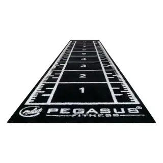 Pegasus Συνθετικός Χλoοτάπητας 2 x 10m 321031591 (μαύρος) - Σε 24 Άτοκες Δόσεις