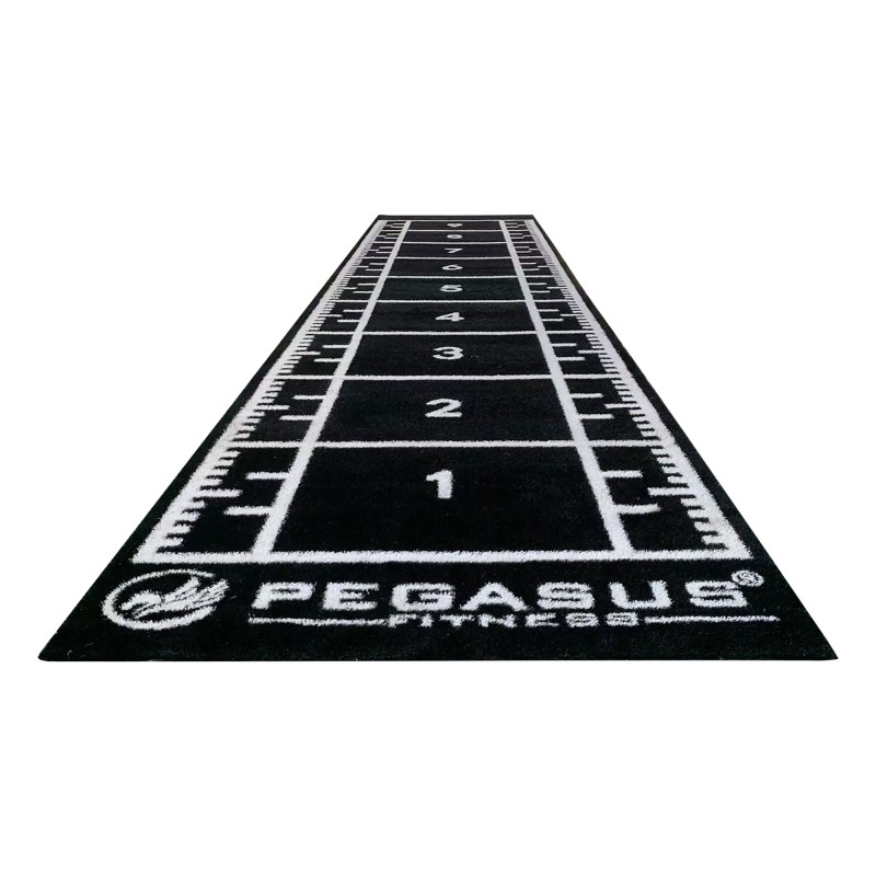 Pegasus Συνθετικός Χλoοτάπητας 2 x 10m 321031591 (μαύρος) - Σε 24 Άτοκες Δόσεις