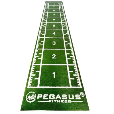 Pegasus Συνθετικός Χλοοτάπητας 2x11m (3159)