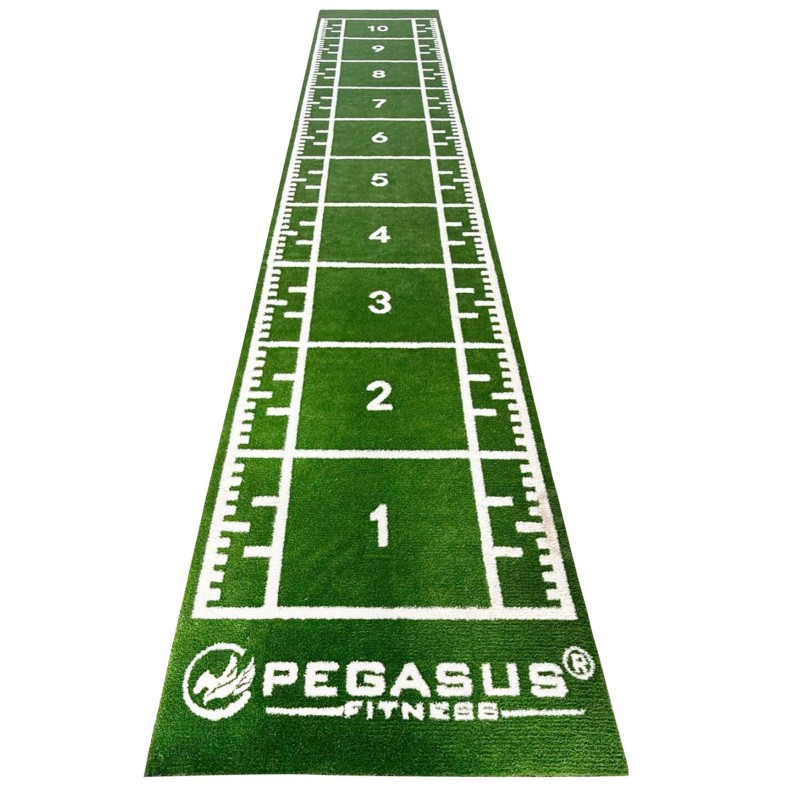 Pegasus Συνθετικός Χλοοτάπητας 2x11m (3159)
