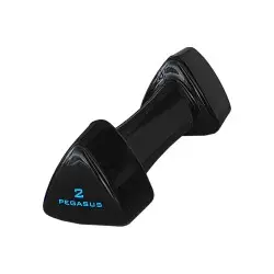 Pegasus Τρίγωνος Αλτήρας Vinyl 2kg PG‑1005