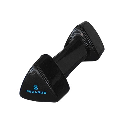 Pegasus Τρίγωνος Αλτήρας Vinyl 2kg PG‑1005