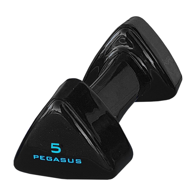 Pegasus Τρίγωνος Αλτήρας Vinyl 5kg PG‑1005