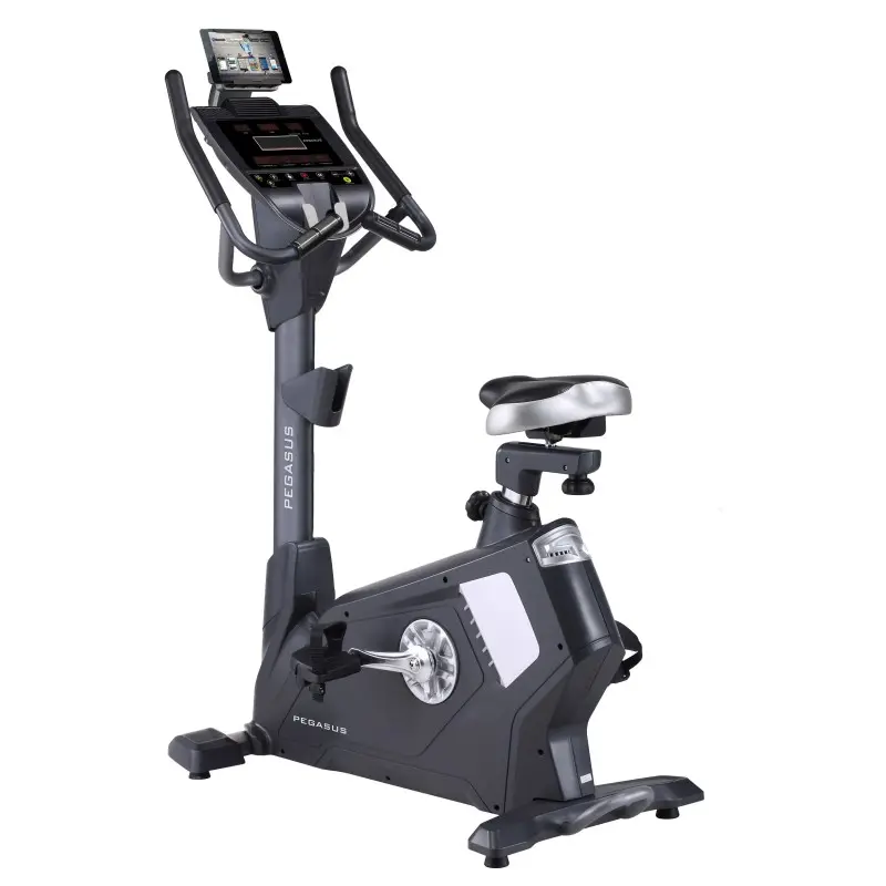 Pegasus Turbo B11 Επαγγελματικό Ποδήλατο Γυμναστικής
