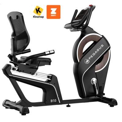 Pegasus Turbo B15 Ημιεπαγγελματικό Καθιστό Ποδήλατο Γυμναστικής