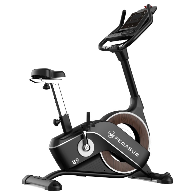 Pegasus Turbo B9 Ημιεπαγγελματικό Ποδήλατο Γυμναστικής Pegasus Turbo B9 Ημιεπαγγελματικό Ποδήλατο Γυμναστικής