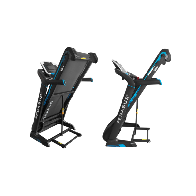 Pegasus V3N Διάδρομος Γυμναστικής 3.0HP - Σε 12 Άτοκες Δόσεις