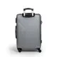 Βαλίτσες trolley (σέτ 3 τεμαχίων) Cardinal 2010 ασημί