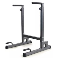 Viking DS-90 Dip Station