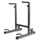 Viking DS-90 Dip Station