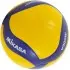 Mikasa Μπάλα Volley  V300W No. 5 National Competiton Pro Model - 41812