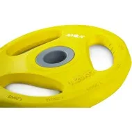 Amila Δίσκος με επένδυση λάστιχου. 1.25 kg Φ28 - 44414 Amila Δίσκος με επένδυση λάστιχου. 1.25 kg Φ28 - 44414