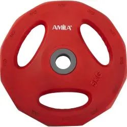 Amila Δίσκος με επένδυση λάστιχου. 5.00 kg Φ28 - 44416