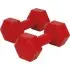 Amila Αλτήρας Εξάγωνος Plastic Series 1.00Kg (Ζευγάρι) - 44530